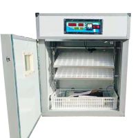  Leading Electric 176 Egg Incubator Supplier