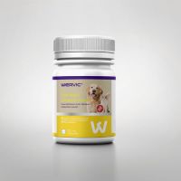 Multivitamin Chewable Tablet