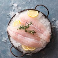 Frozen Pangasius Fillets