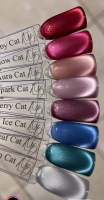 Cat Eye Gel