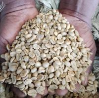 Premium Uganda Arabica & Robusta Green