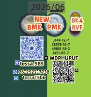  NEW 28578-16-7 Stable Supply Fast BMK Shipping Direct Supply High Purity