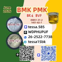 5449-12-7  BMK Glycidic Acid