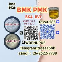 5449-12-7  BMK Glycidic Acid sodium Germany warehouse