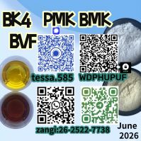 Ensuring Continuity in an Uncertain Global Chemical Market 28578-16-7 PMK The Catalyst of Trust