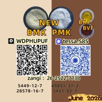 5449-12-7  International Supply BMK