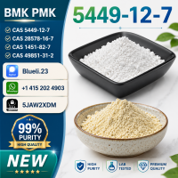 B M K Glycidic Acid (sodium