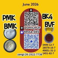5449-12-7  BMK Supply Chain OptimizationGlycidic Acid sodium 28578-16-7 PMK Shipment Tracking