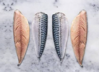 Premium Frozen Mackerel Fillets IQF Skin-On & Skinless Mackerel Fillets Supplier