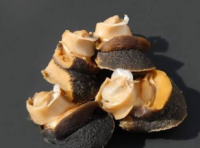 Fresh Frozen Moon Snail Meat Natural Marine Seafood for Global Buyers