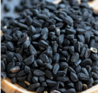 Premium Natural Black Cumin Seeds (Nigella Sativa) Export Quality Bulk Supplier