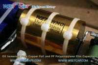 WEET WMO Oil Immersed Pure Copper