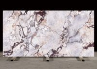 VERSAILLES GOLD - FULL BODY Stain-Resistant