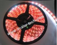 5050 SMD LED flexible strip