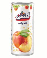 Golshan Peach Juice With Pulp ( Canned