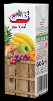 Golshan Multi Fruit Nectar 200cc Tetra