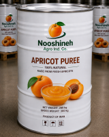 Nooshineh Apricot Puree