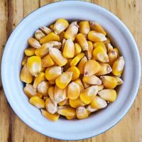 Natural Dried Yellow Maize Grain Non Glutinous Mature Corn for Food Feed Bulk Wholesale