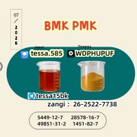 CAS 5449-12-7 BMK Glycidic Acid sodium salt 99% High Purity Powder Reliable Logistics Partner