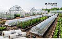 UV Stabilized Greenhouse Film - PE Agricultural