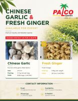 Dried Ginger Slices
