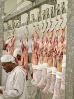Chilled Meat