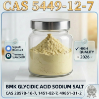 BMK Glycidic Acid Sodium Salt (CAS