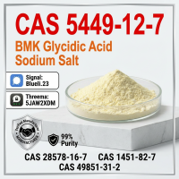 BMK Glycidic Acid Sodium Salt CAS