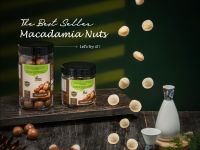 Vietnam Macadamia Nuts Inshell