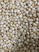 VIETNAM MACADAMIA KERNELS