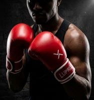 Red Luprix Boxing Gloves