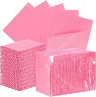 Dental Bib Disposable 500 Pieces