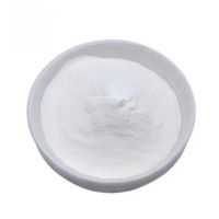 Rennet Enzyme Dairy Processing Grade 25kg