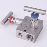 316L Stainless Steel Instrument Manifold 5