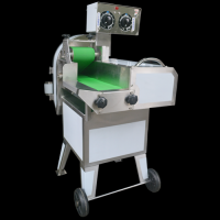  Veageable Slicer