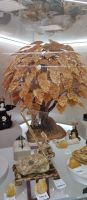 100% Genuine Natural Baltic Amber (Raw