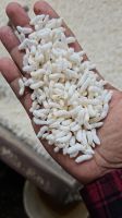 Puffed Rice