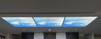 Artificial Skylight Panels