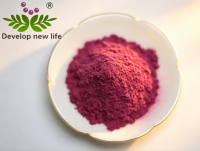 Cranberry Fruit Powder