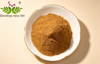 Maca Extract Powder