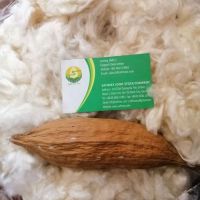 Premium Natural Kapok Fiber Filling Material
