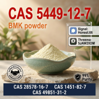 BMK Glycidic Acid Sodium Salt CAS