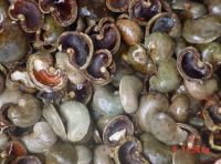 Cashew Nut Shells