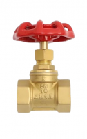 Brass Globe Valve