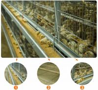 H Type Layer Chicken Cage
