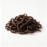 Premium Bulk Dried Earthworms For Animal