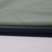 100% Polyester Warp-Knitted Cotton-Style Fabric