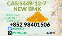 BMK Glycidic Acid 99% Powder CAS