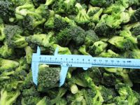 IQF Frozen Broccoli Florets Premium Quality Frozen Vegetables from Vietnam