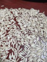 1121 Steam Basmati Rice